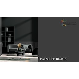 PAINT IT BLACK.jpg